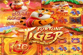 5555bet2